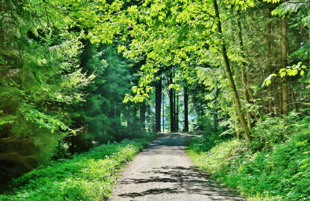 AdobeStock 350484602 web1400px