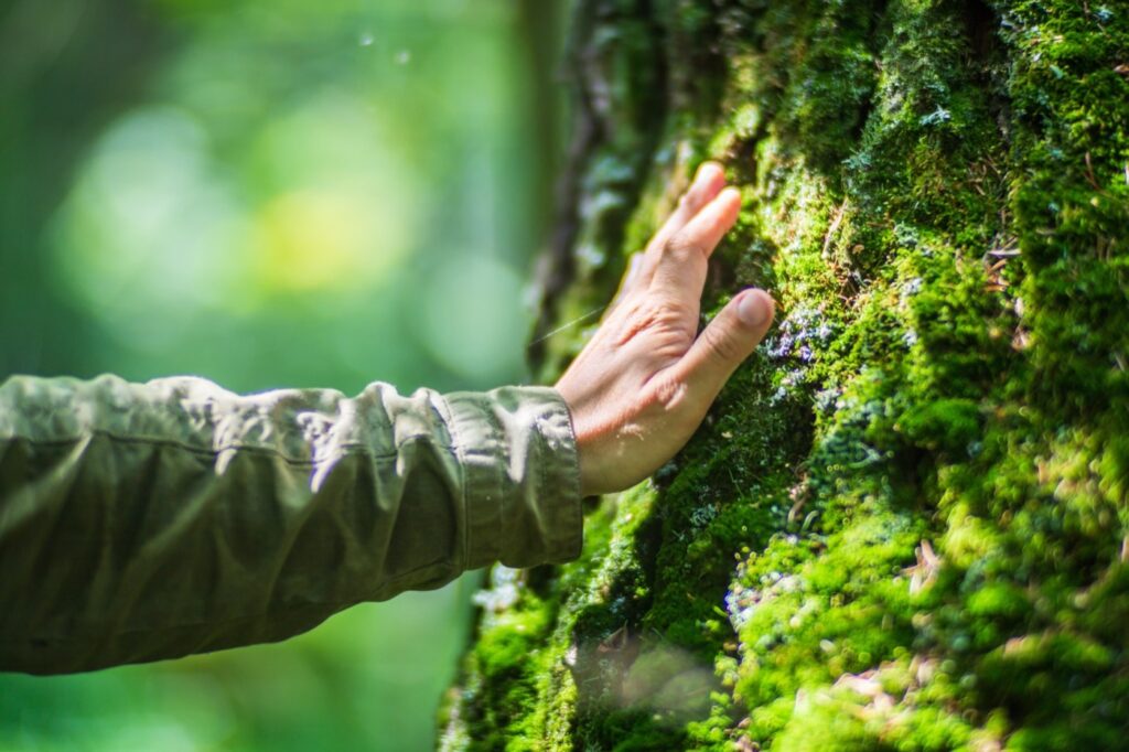 AdobeStock 582808573 web1400px